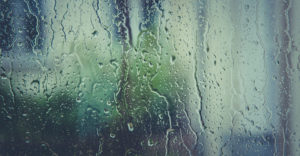 rain drops on a window